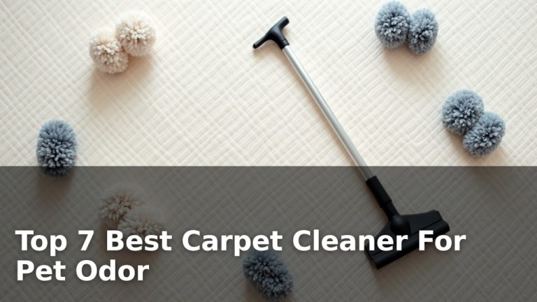 Top 7 Best Carpet Cleaner For Pet Odor